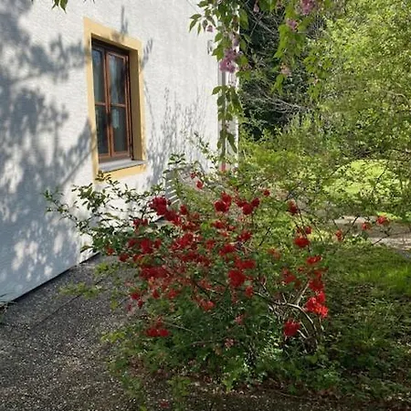 Hanke Barbara Apartment